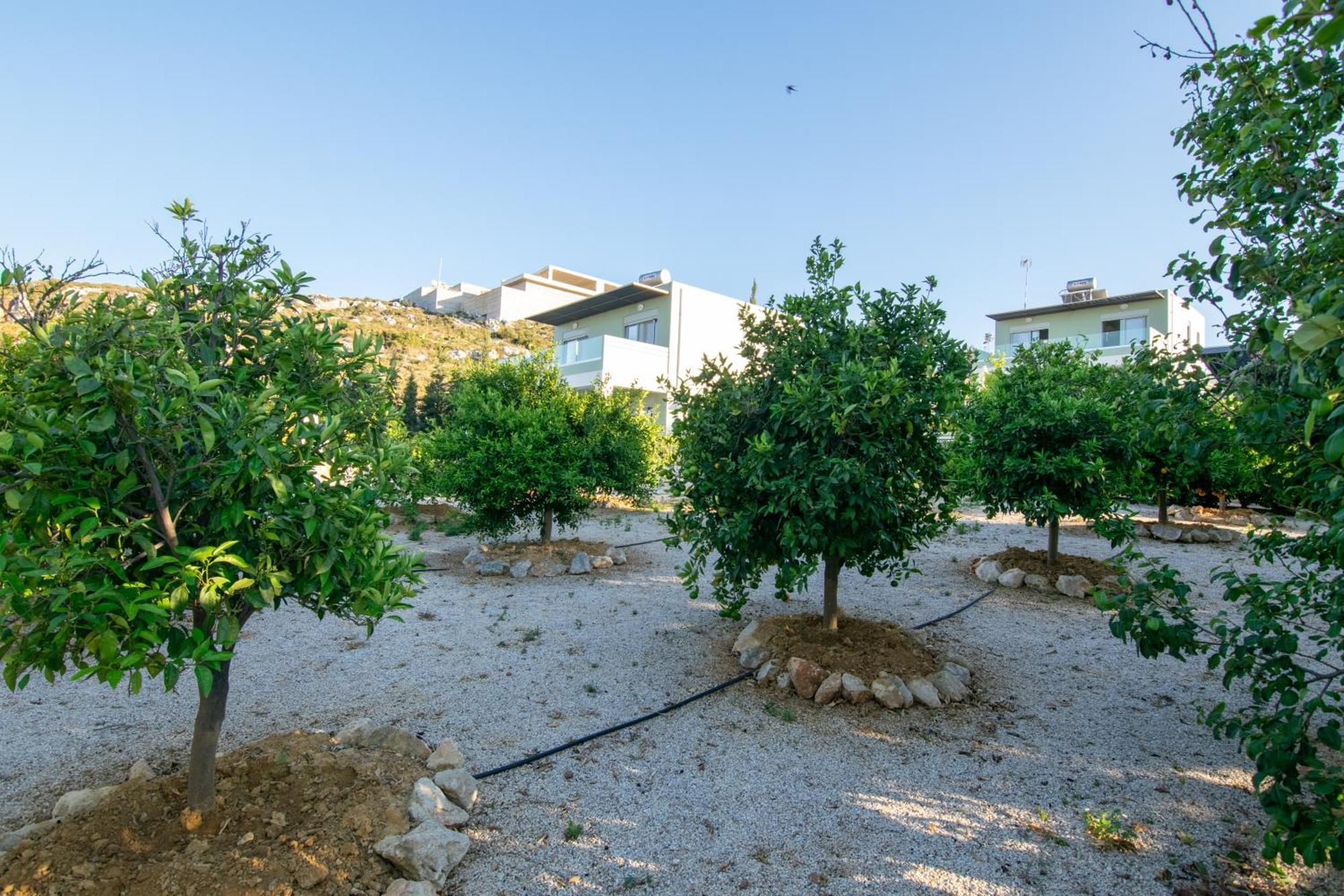 Κatakis Villas Agios Onoufrios Buitenkant foto