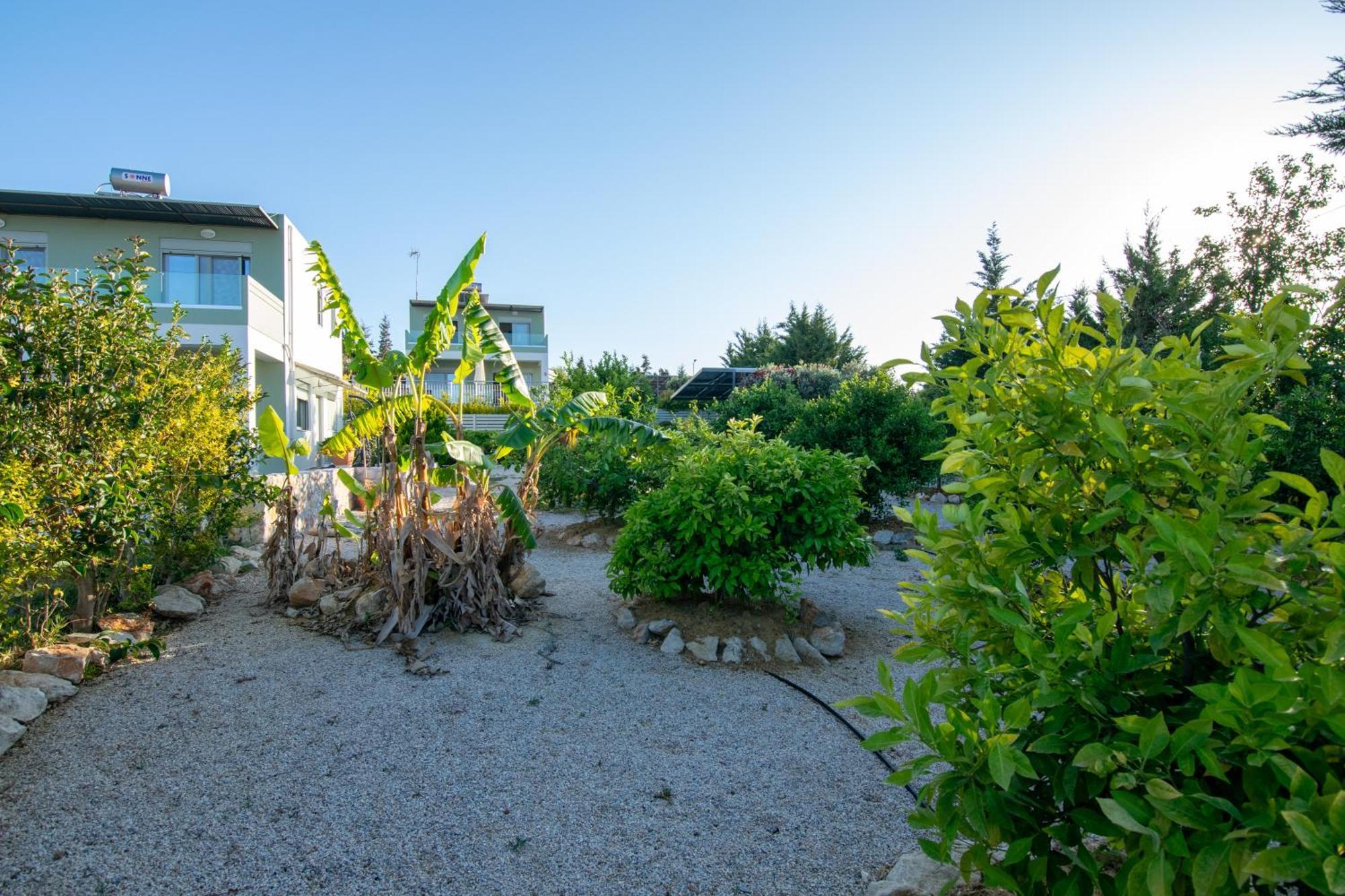 Κatakis Villas Agios Onoufrios Buitenkant foto