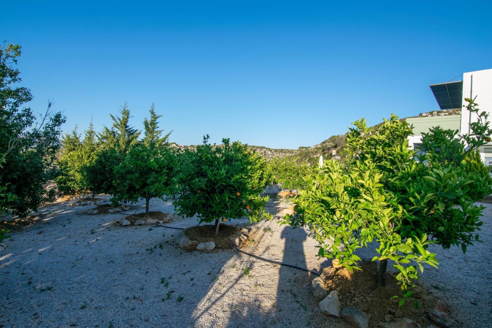 Κatakis Villas Agios Onoufrios Buitenkant foto