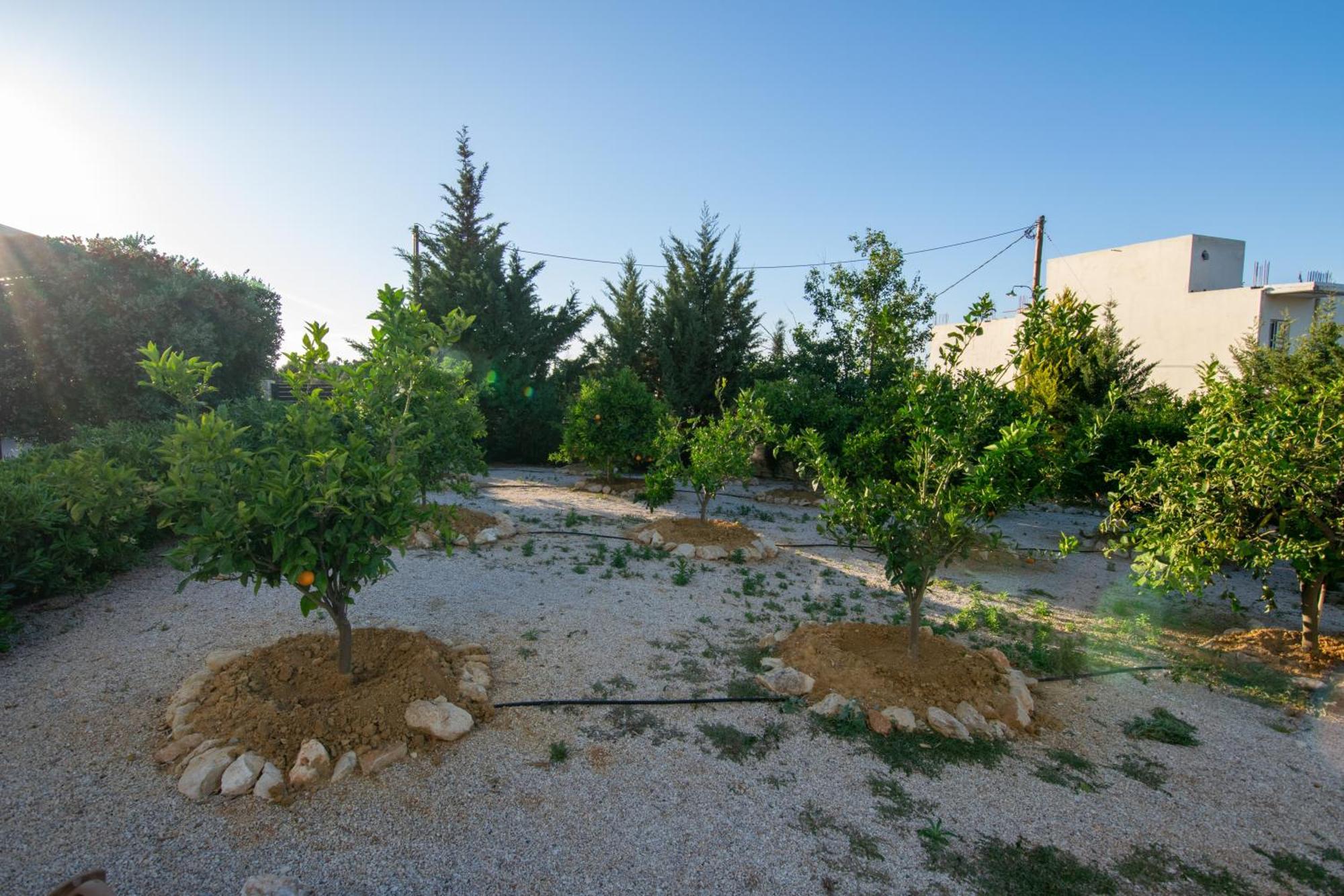 Κatakis Villas Agios Onoufrios Buitenkant foto
