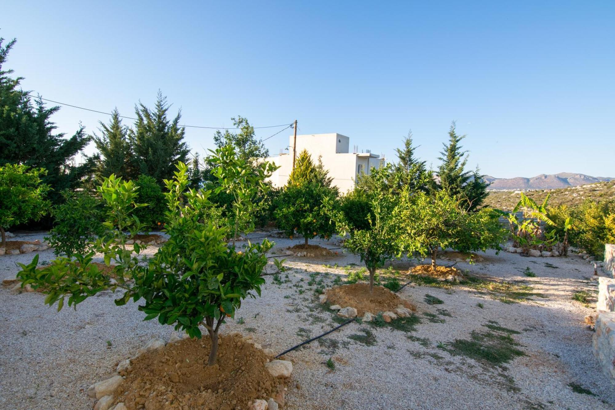 Κatakis Villas Agios Onoufrios Buitenkant foto