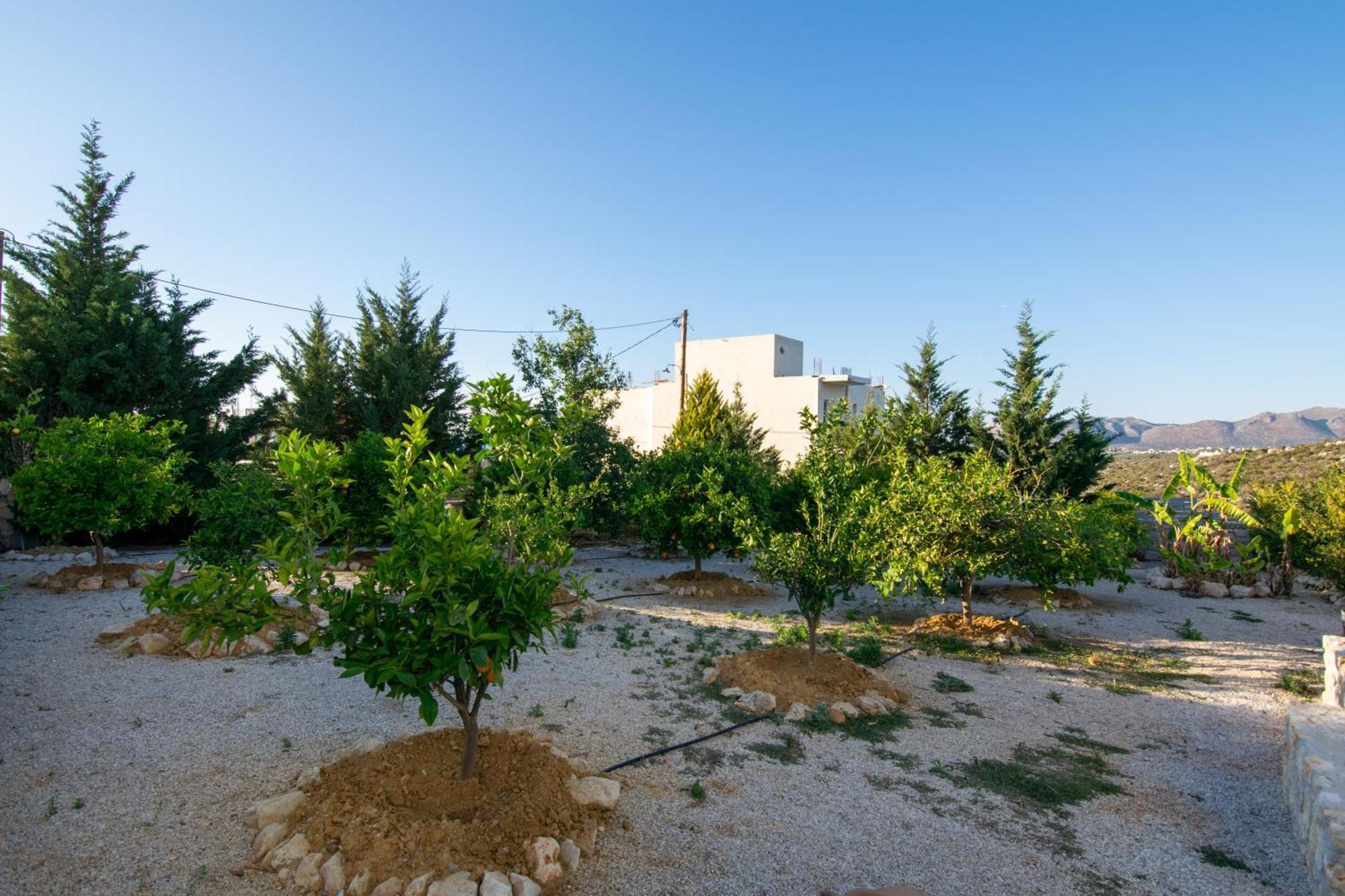 Κatakis Villas Agios Onoufrios Buitenkant foto